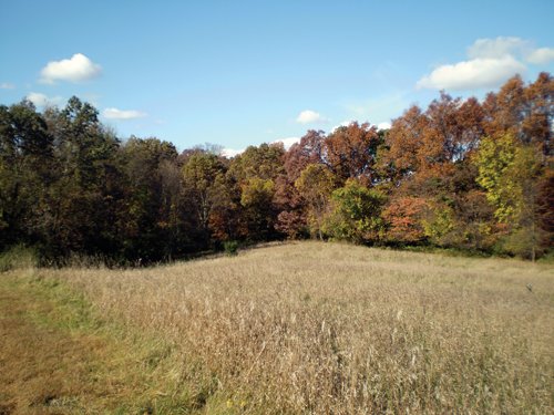 Property photo 83 - Real Estate Auction - 238 Acres Offered in 8 Tracts