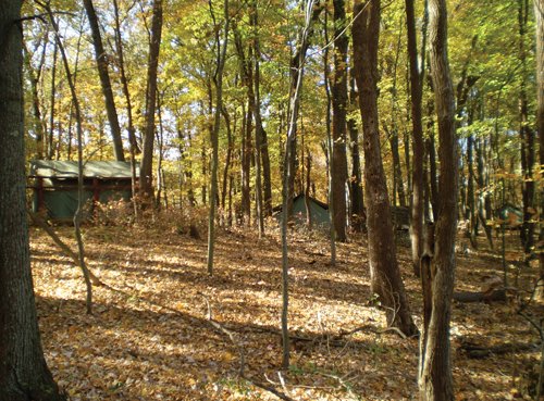 Property photo 81 - Real Estate Auction - 238 Acres Offered in 8 Tracts