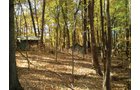 Property photo 81 - Real Estate Auction - 238 Acres Offered in 8 Tracts