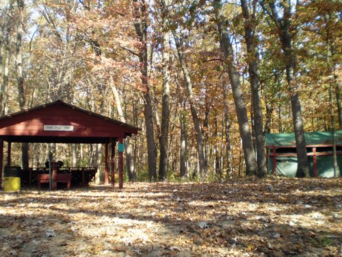 Property photo 70 - Real Estate Auction - 238 Acres Offered in 8 Tracts