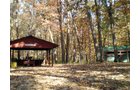 Property photo 70 - Real Estate Auction - 238 Acres Offered in 8 Tracts