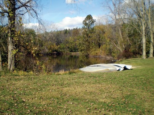 Property photo 74 - Real Estate Auction - 238 Acres Offered in 8 Tracts