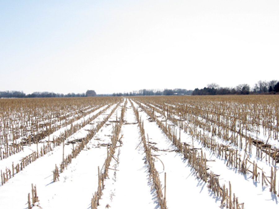 852 Acres Offered in 10 Tracts