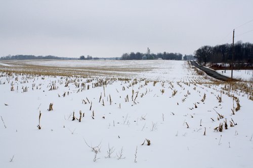Property photo 2 - 71 Acres Offered in 3 Tracts - J.D. Egolf Estate