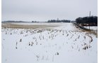 Property photo 2 - 71 Acres Offered in 3 Tracts - J.D. Egolf Estate