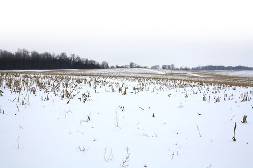 Property photo 4 - 71 Acres Offered in 3 Tracts - J.D. Egolf Estate