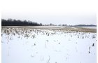 Property photo 4 - 71 Acres Offered in 3 Tracts - J.D. Egolf Estate