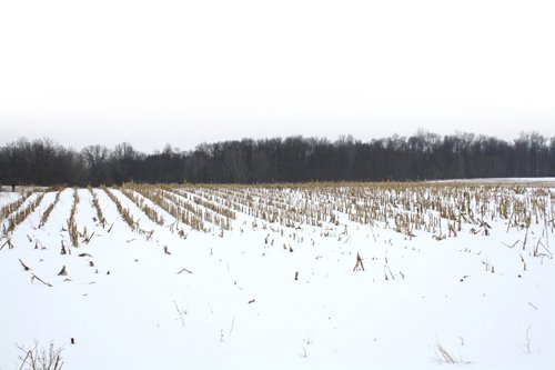 Property photo 3 - 71 Acres Offered in 3 Tracts - J.D. Egolf Estate