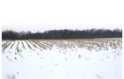 Property photo 3 - 71 Acres Offered in 3 Tracts - J.D. Egolf Estate