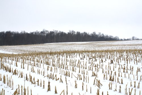 Property photo 1 - 71 Acres Offered in 3 Tracts - J.D. Egolf Estate