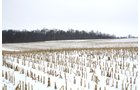 Property photo 1 - 71 Acres Offered in 3 Tracts - J.D. Egolf Estate