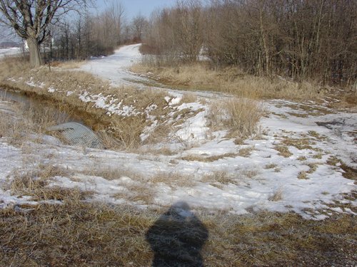 Property photo 9 - 87 Acres Offered in 4 Tracts