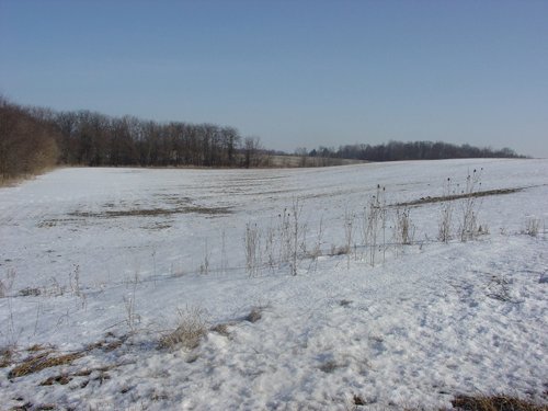 Property photo 10 - 87 Acres Offered in 4 Tracts