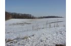 Property photo 10 - 87 Acres Offered in 4 Tracts