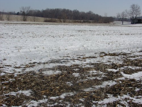 Property photo 28 - 87 Acres Offered in 4 Tracts