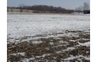 Property photo 28 - 87 Acres Offered in 4 Tracts