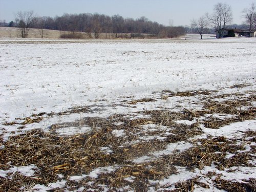 Property photo 8 - 87 Acres Offered in 4 Tracts