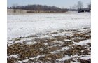 Property photo 8 - 87 Acres Offered in 4 Tracts