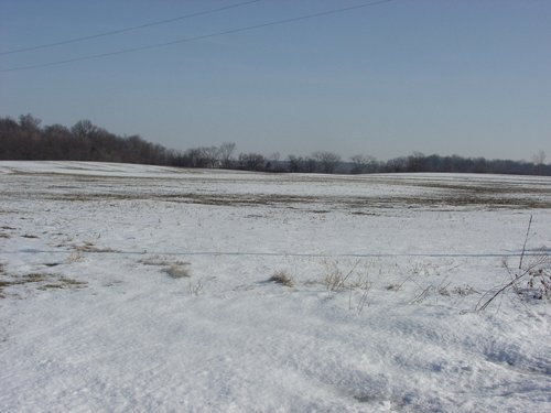 Property photo 15 - 87 Acres Offered in 4 Tracts