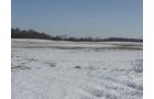 Property photo 15 - 87 Acres Offered in 4 Tracts