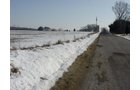 Property photo 23 - 87 Acres Offered in 4 Tracts