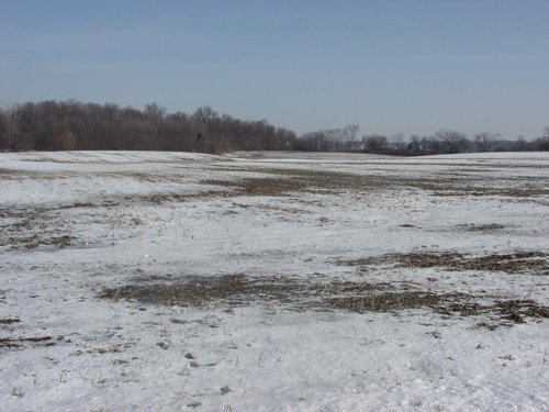 Property photo 21 - 87 Acres Offered in 4 Tracts
