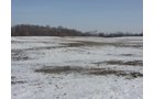 Property photo 21 - 87 Acres Offered in 4 Tracts