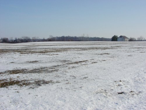 Property photo 17 - 87 Acres Offered in 4 Tracts