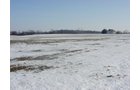Property photo 17 - 87 Acres Offered in 4 Tracts