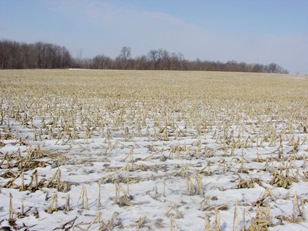 87 Acres Offered in 4 Tracts