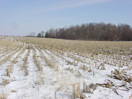 Property photo 24 - 87 Acres Offered in 4 Tracts