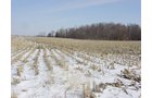 Property photo 24 - 87 Acres Offered in 4 Tracts