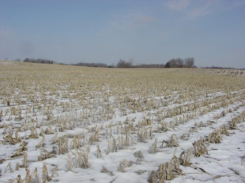 Property photo 18 - 87 Acres Offered in 4 Tracts