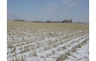 Property photo 18 - 87 Acres Offered in 4 Tracts