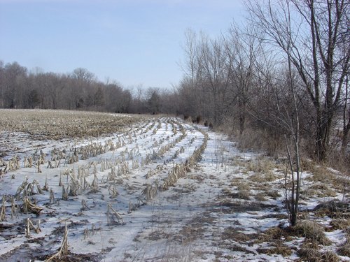 Property photo 4 - 87 Acres Offered in 4 Tracts