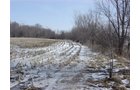 Property photo 4 - 87 Acres Offered in 4 Tracts