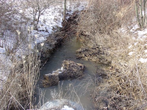 Property photo 7 - 87 Acres Offered in 4 Tracts