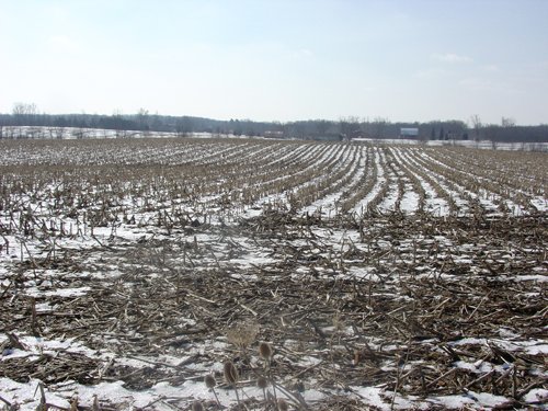 Property photo 27 - 87 Acres Offered in 4 Tracts