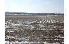 Property photo 27 - 87 Acres Offered in 4 Tracts