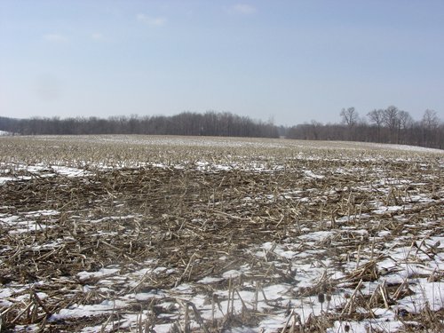 Property photo 3 - 87 Acres Offered in 4 Tracts