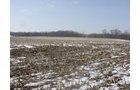 Property photo 3 - 87 Acres Offered in 4 Tracts