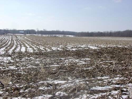 Property photo 20 - 87 Acres Offered in 4 Tracts