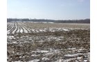 Property photo 20 - 87 Acres Offered in 4 Tracts