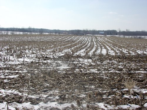 Property photo 13 - 87 Acres Offered in 4 Tracts