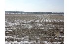 Property photo 13 - 87 Acres Offered in 4 Tracts