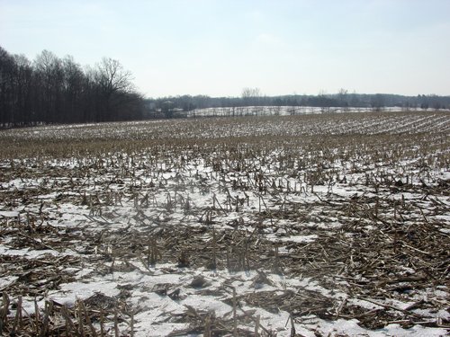 Property photo 19 - 87 Acres Offered in 4 Tracts
