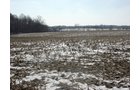 Property photo 19 - 87 Acres Offered in 4 Tracts