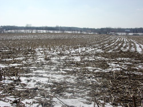 Property photo 26 - 87 Acres Offered in 4 Tracts