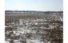 Property photo 26 - 87 Acres Offered in 4 Tracts
