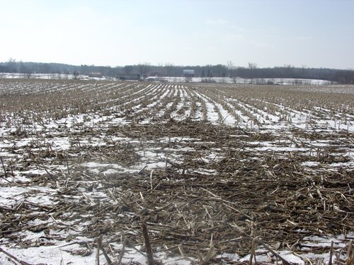 Property photo 22 - 87 Acres Offered in 4 Tracts